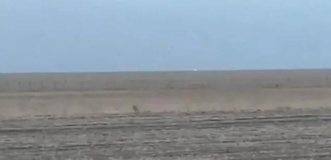 中蒙邊境線明火已被撲滅，為什么蒙古那么容易發(fā)生草原火災(zāi)？